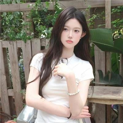 法网追击
